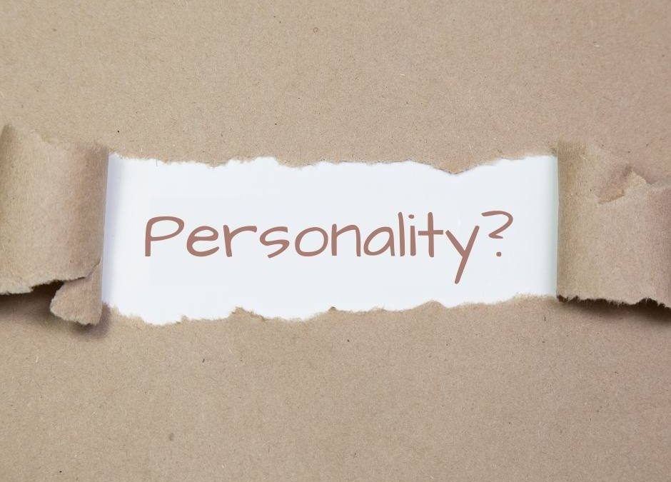 Man sieht das Wort personality das für den 16 Personalities Test steht